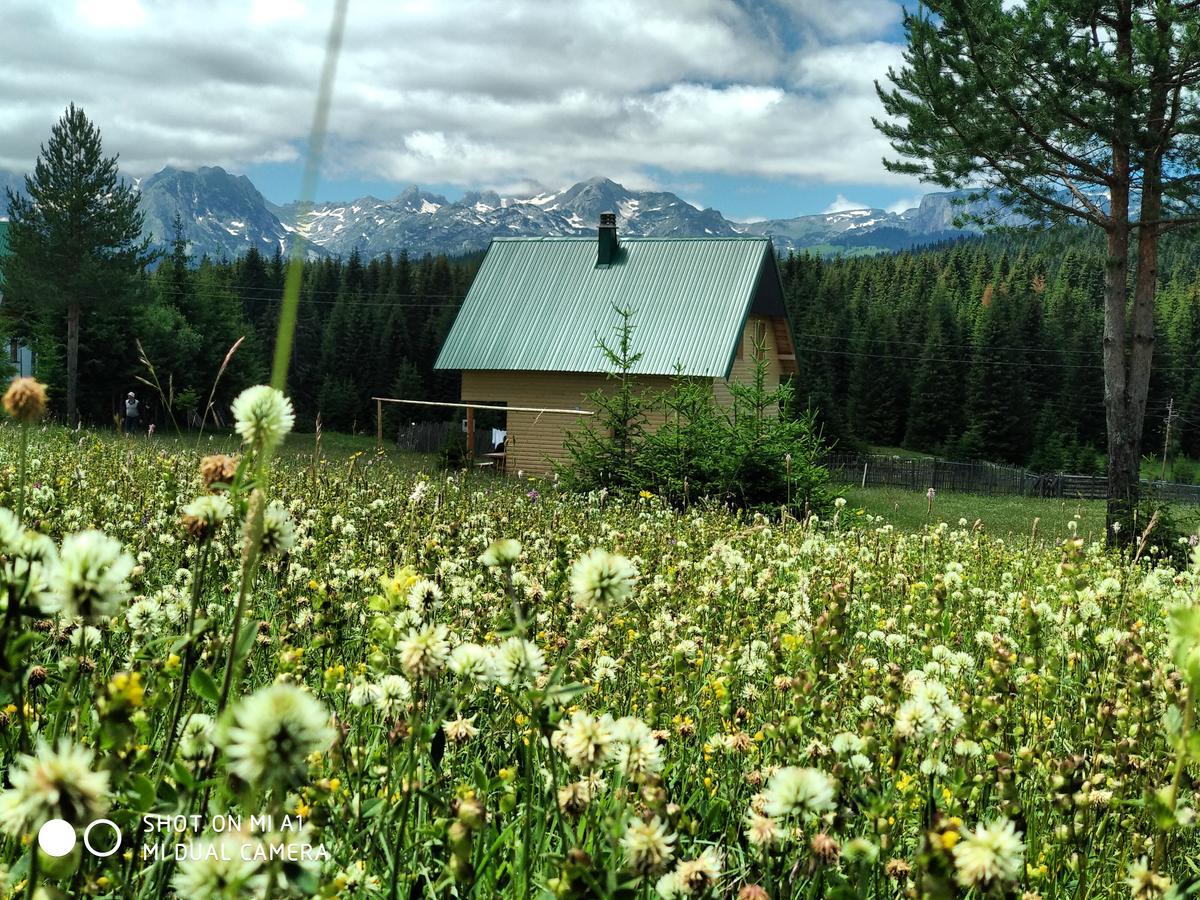 Eco House Villa Žabljak Kültér fotó